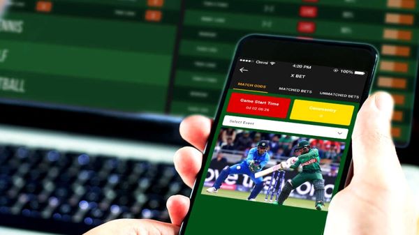 How to Choose the Best Cricket Betting Sites