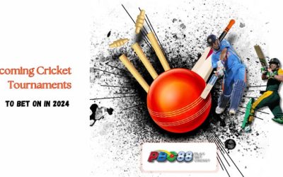 Upcoming Cricket Tournaments to Bet On in 2024